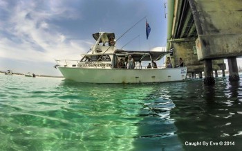 Forster Fishing Charters